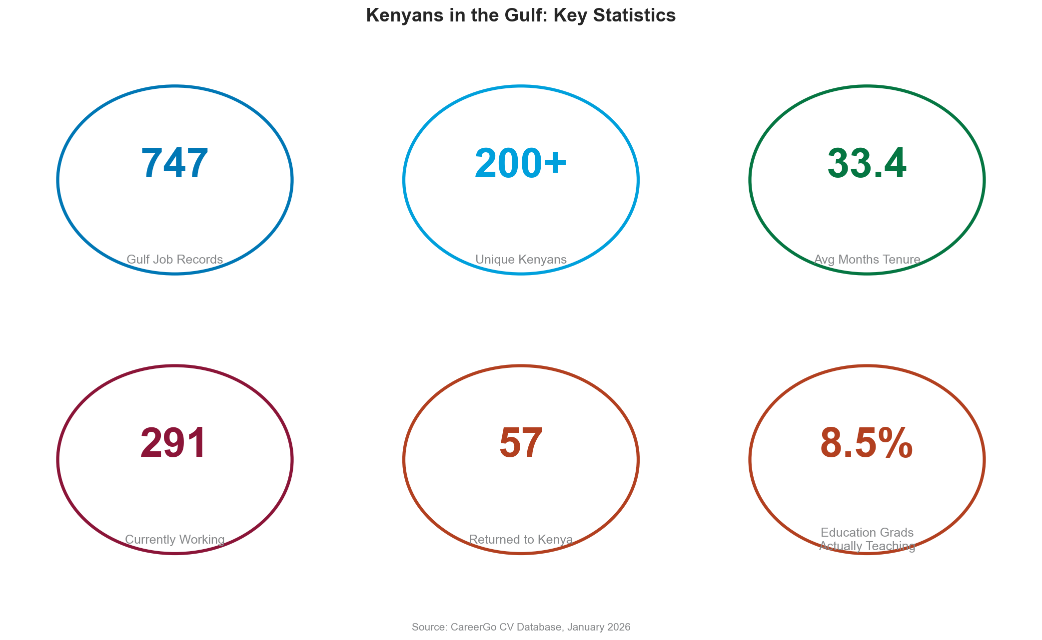 Key statistics from Kenyan professionals with Gulf experience